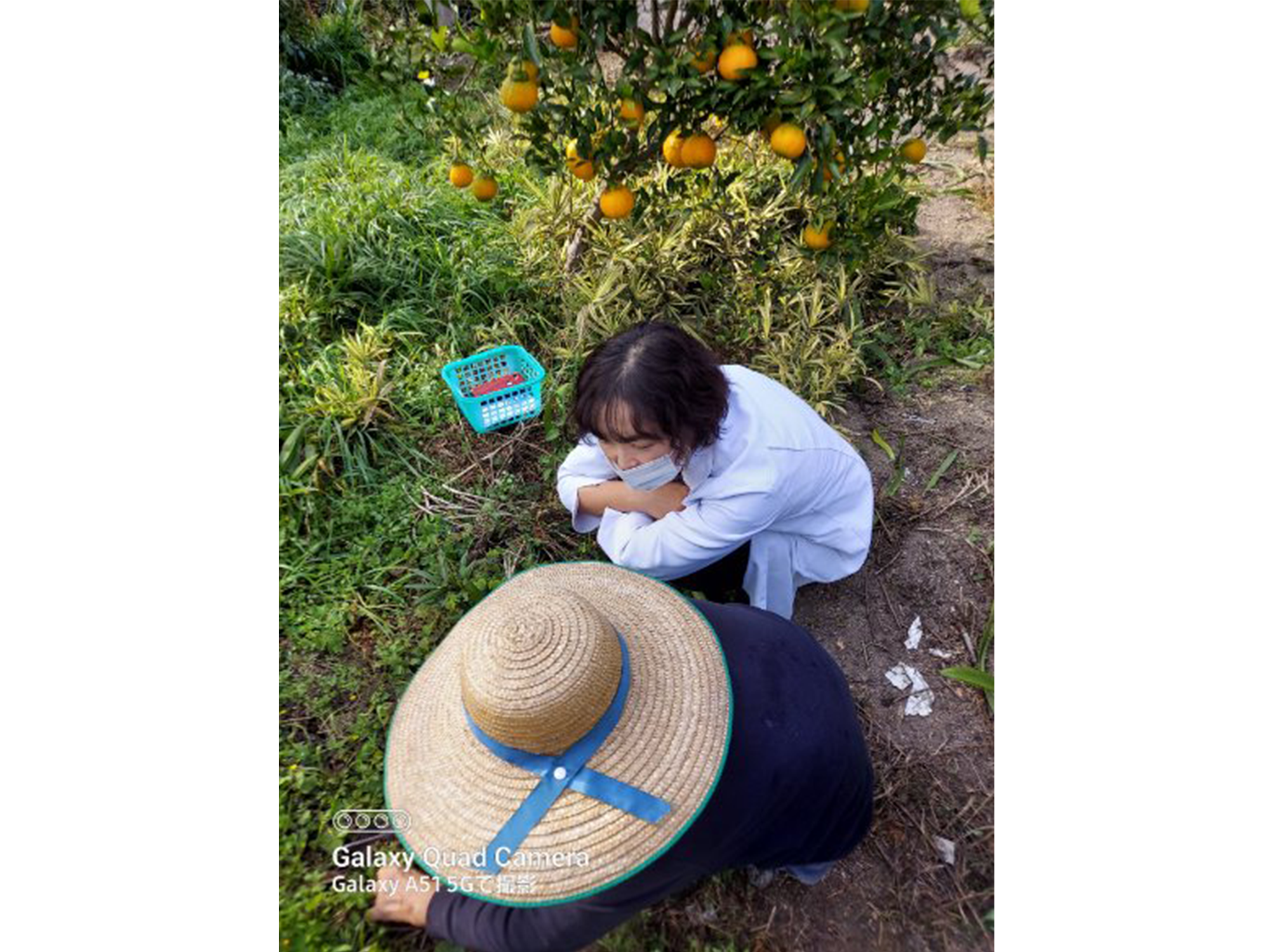 ～ケアマネのお仕事～　連携・薬剤師編