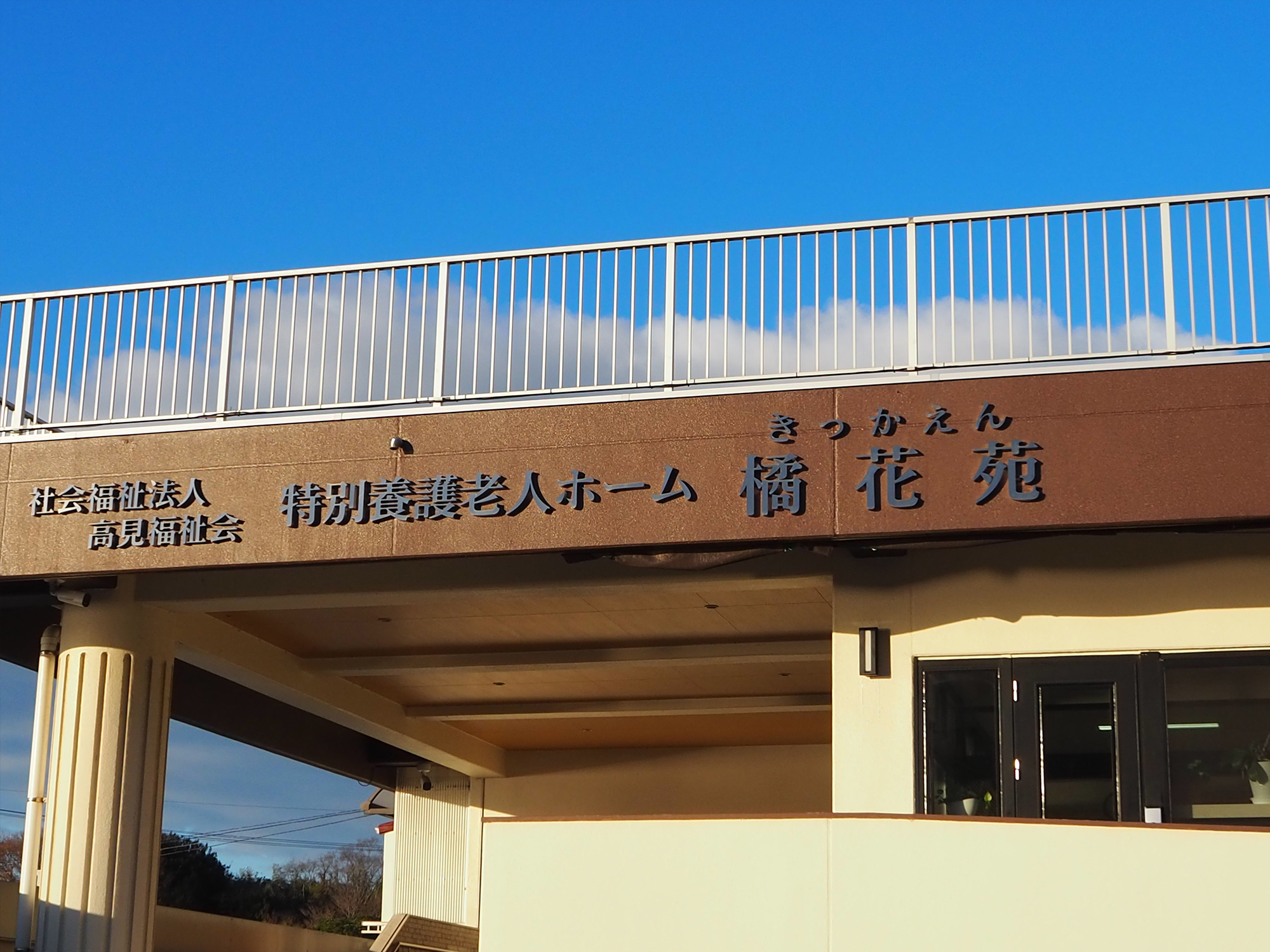 お正月ですね