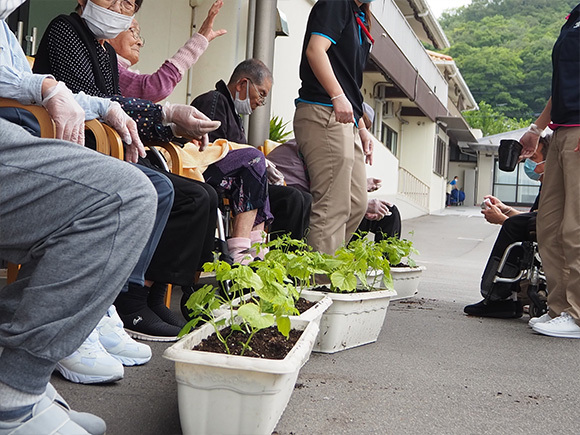 グリーンカーテン～通所・特養～