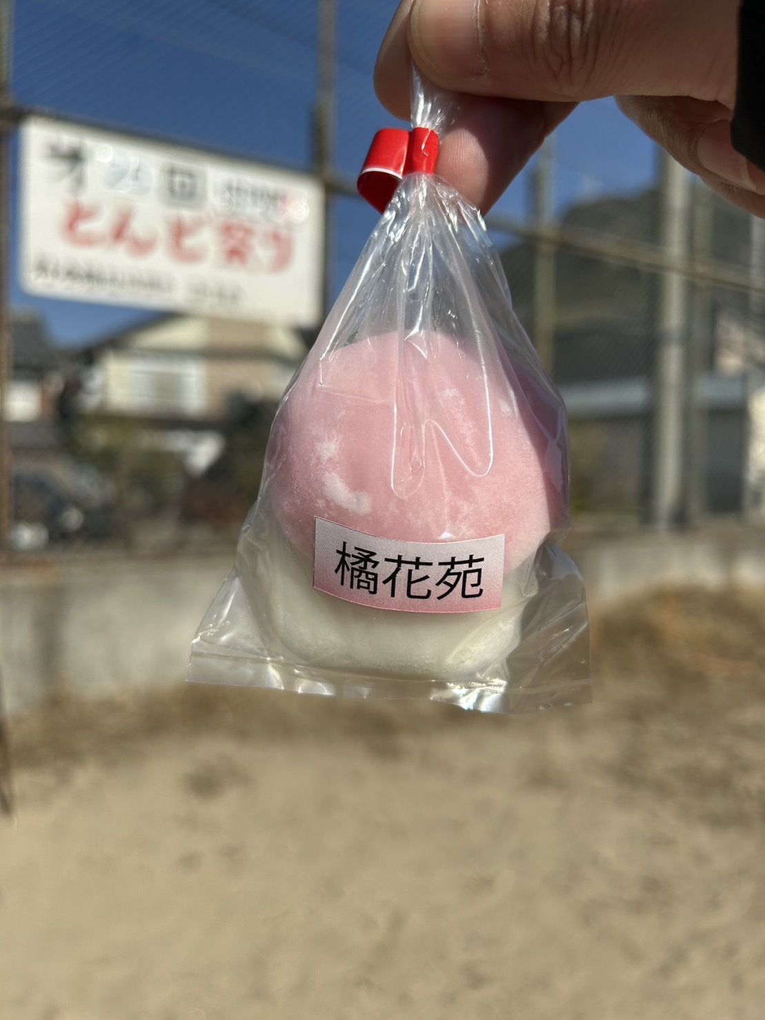 2023年　新年のご挨拶